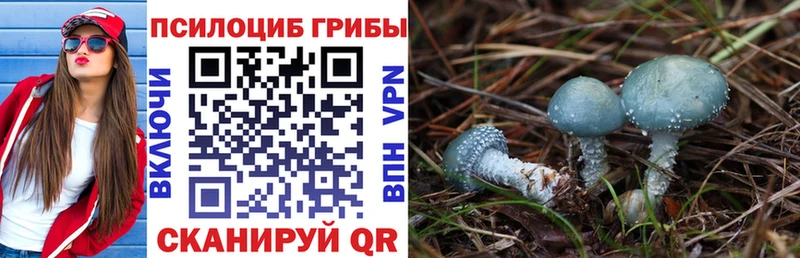 цена Новая Ладога Псилоцибиновые грибы GOLDEN TEACHER